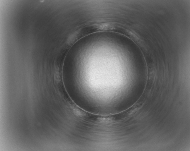 X0000068720469200605010938