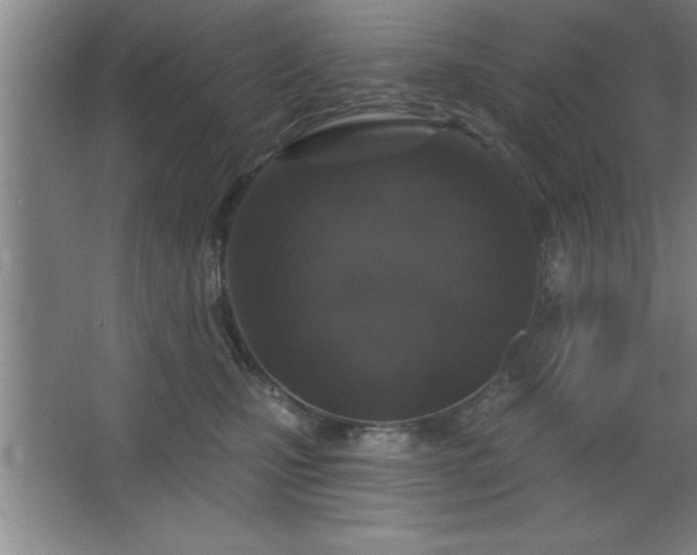 X0000068720471200605010938