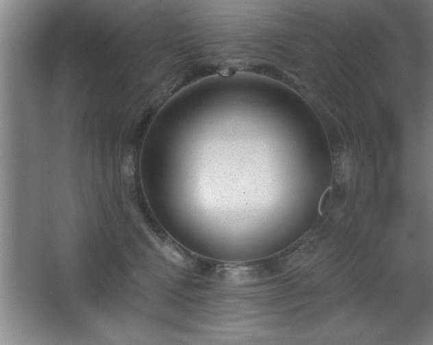 X0000068720472200605010938