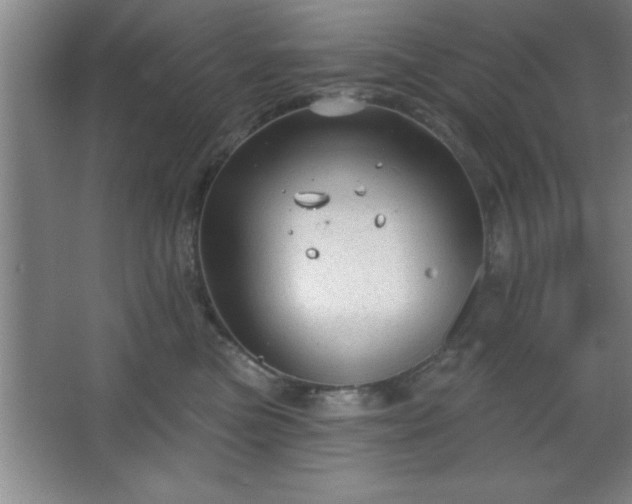 X0000068720473200605010938