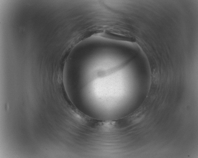 X0000068720474200605010938