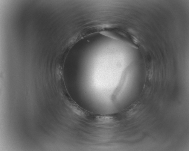 X0000068720476200605010938