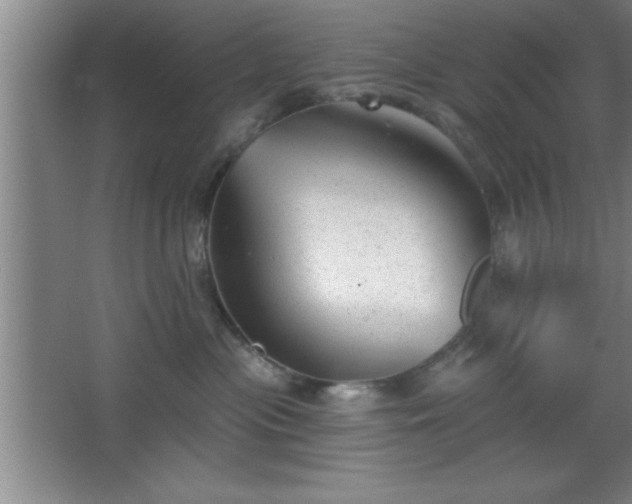 X0000068720477200605010938