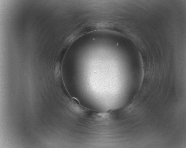 X0000068720478200605010938