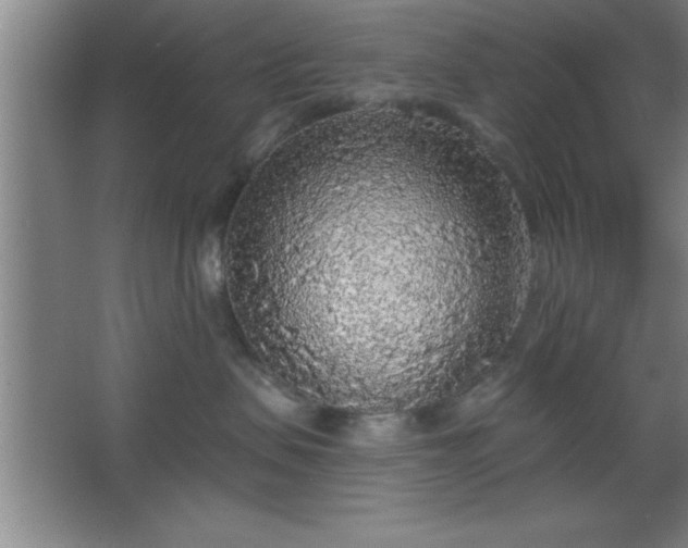 X0000068720479200605010938