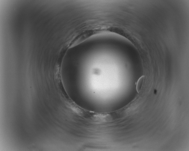 X0000068720480200605010938