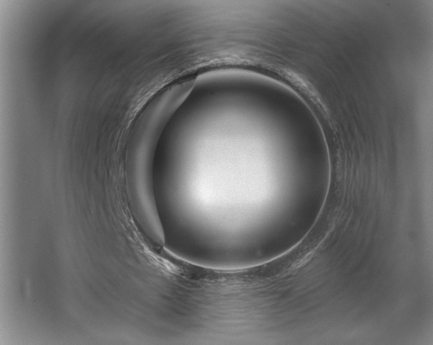 X0000068720481200605010937