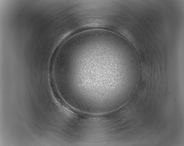 X0000068720482200605010937