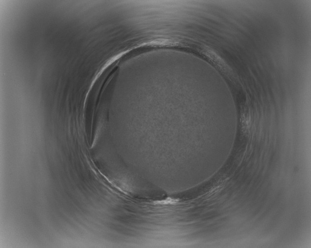 X0000068720484200605010937