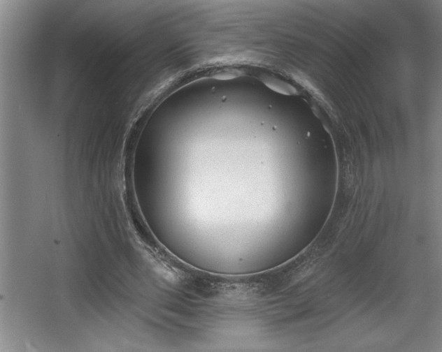 X0000068720486200605010937