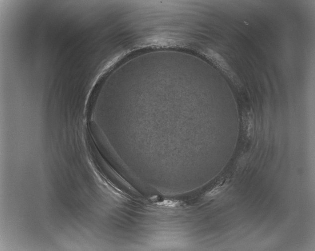 X0000068720488200605010937