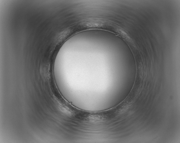 X0000068720490200605010937