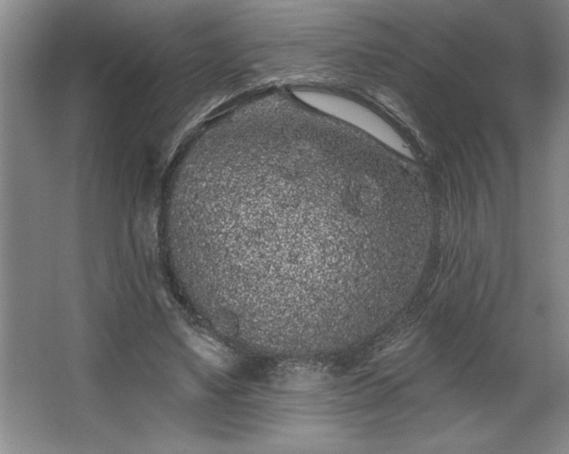 X0000068720491200605010937