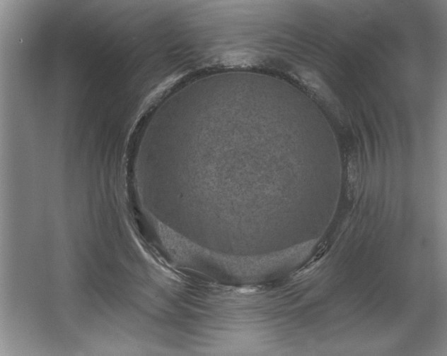 X0000068720492200605010937