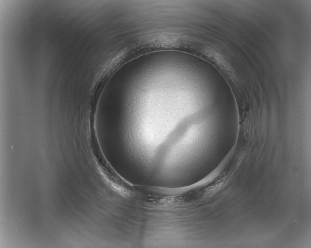 X0000068720493200605010937