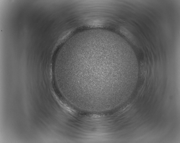 X0000068720494200605010937