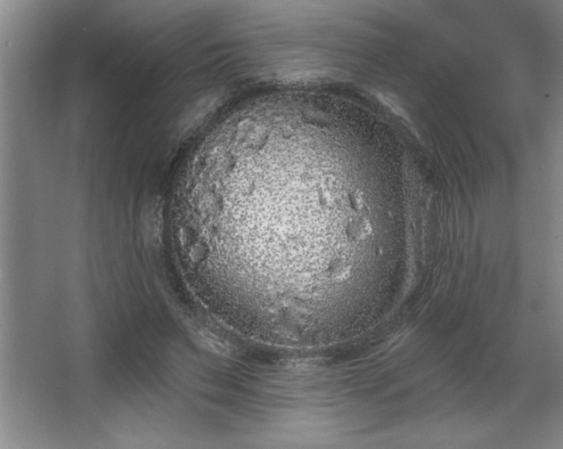 X0000068720495200605010937