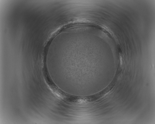 X0000068720496200605010937