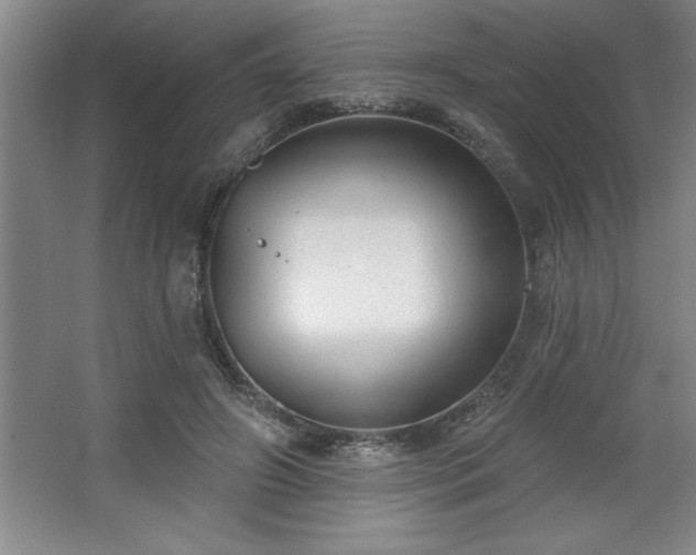 X0000068720498200605010937