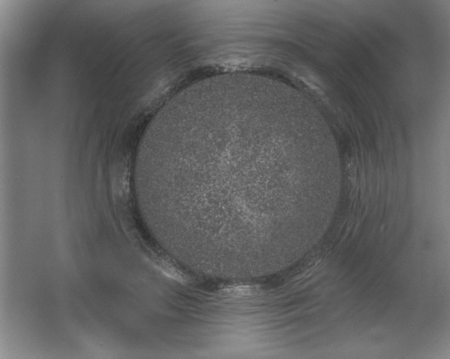 X0000068720499200605010937