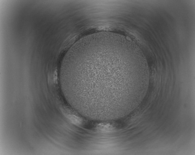 X0000068720502200605010937