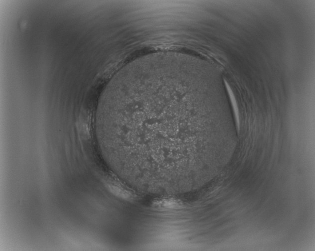 X0000068720503200605010937