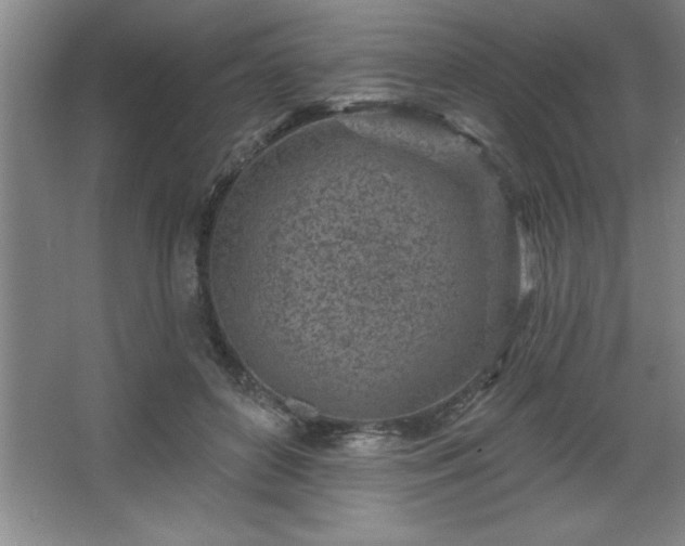 X0000068720504200605010937