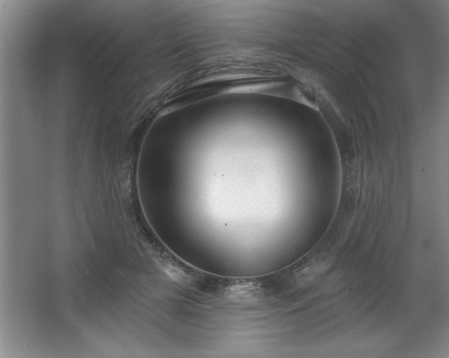 X0000068720505200605010937