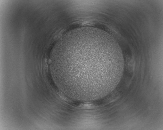 X0000068720506200605010937