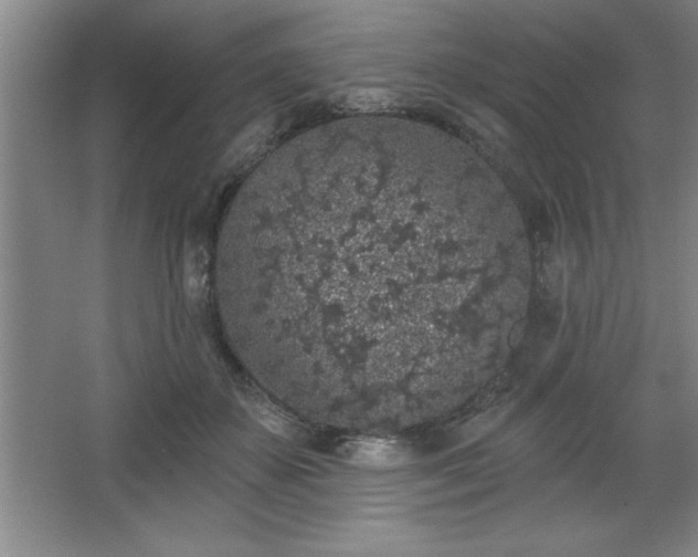 X0000068720507200605010937