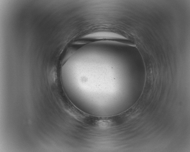 X0000068720508200605010937