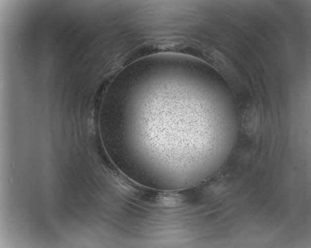 X0000068720510200605010937