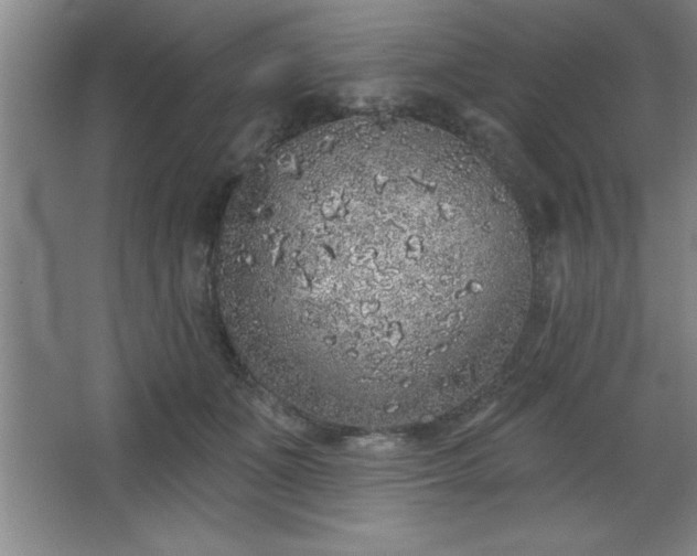 X0000068720511200605010937