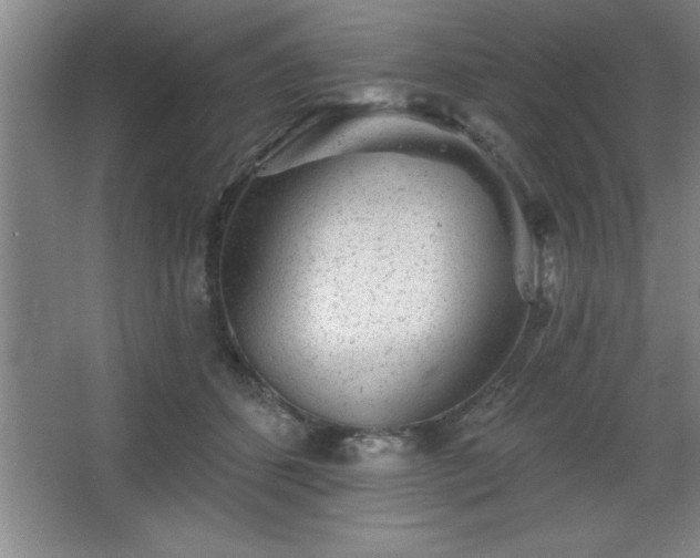 X0000068720512200605010937