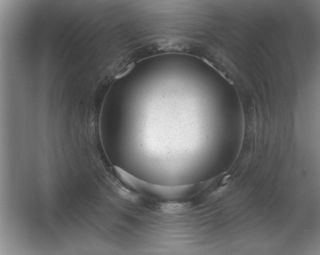 X0000068720513200605010937