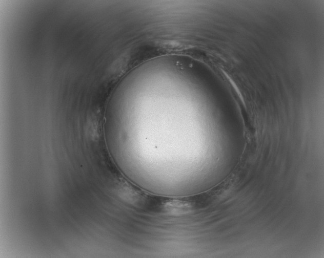 X0000068720515200605010937