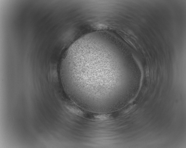 X0000068720516200605010937