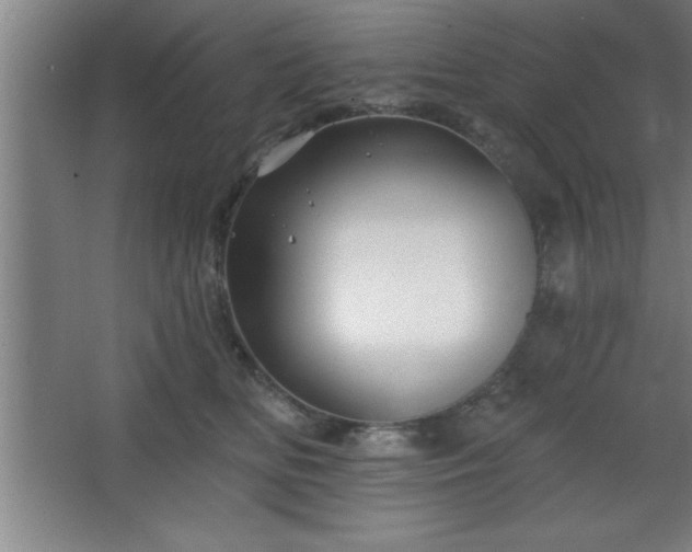 X0000068720518200605010937