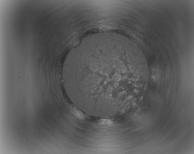 X0000068720519200605010937