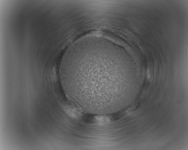 X0000068720520200605010937