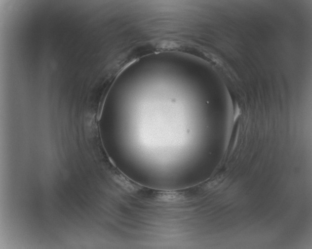 X0000068720521200605010937