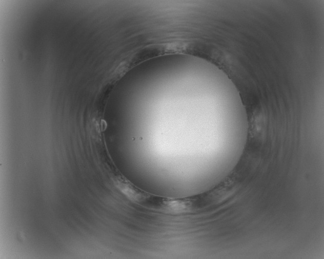 X0000068720522200605010937