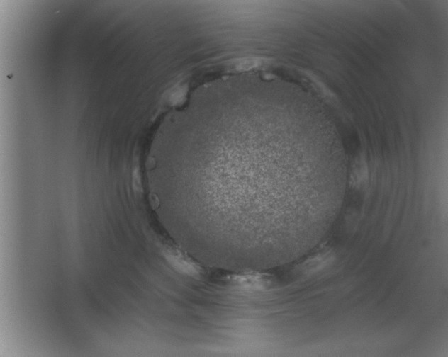 X0000068720524200605010937