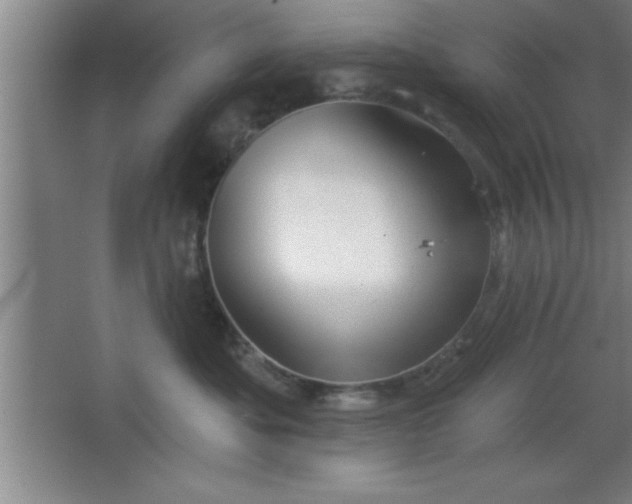 X0000068720525200605010937