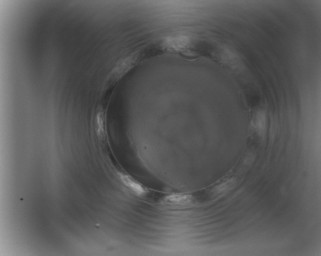 X0000068720526200605010937