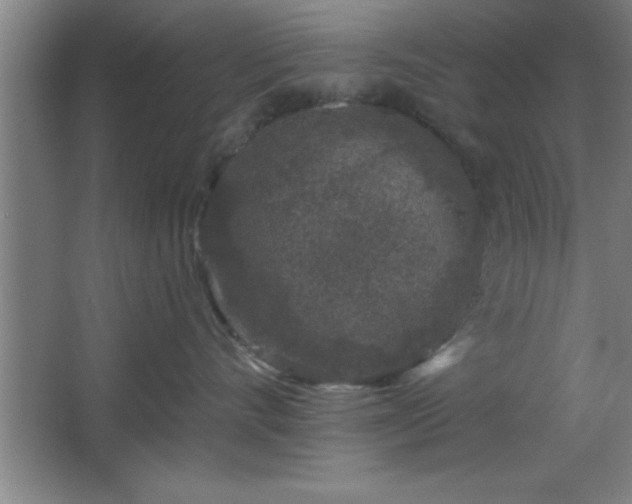 X0000068720528200605010936