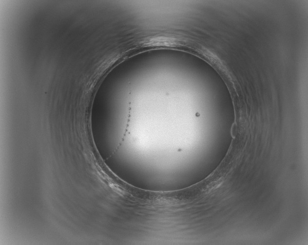 X0000068720529200605010936