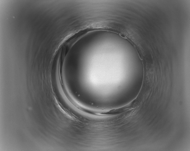 X0000068720530200605010936