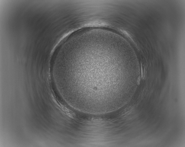 X0000068720531200605010936