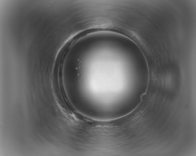 X0000068720532200605010936